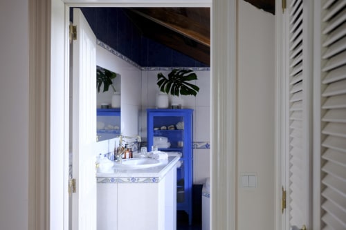 Bathroom with white sink, blue shelving, potted plants, and decorative blue accents in Villa Várzea Country Suite, Portugal