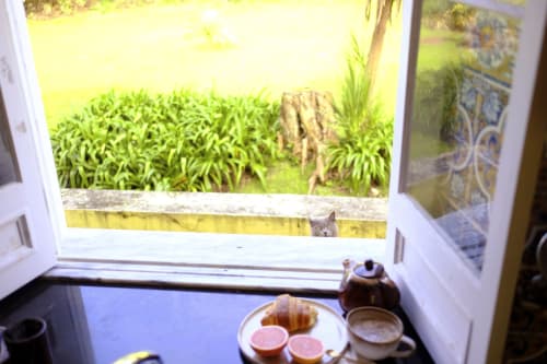Breakfast at Villa Várzea with cat at window overlooking lush garden in Várzea, Portugal