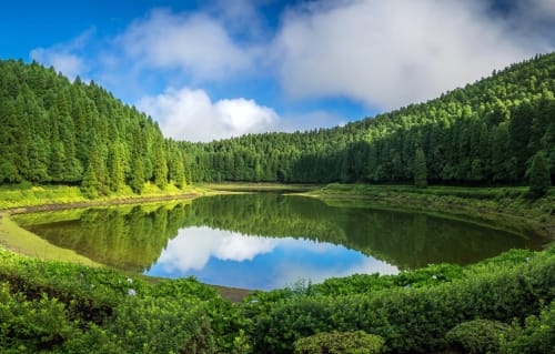 Serene forest lake surrounded by green pine trees at Villa Várzea in Várzea, Portugal