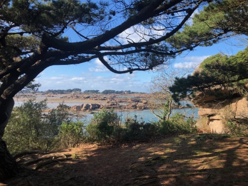 Sous Le Phare - Louannec - réservez vos vacances Côte de Granit Rose - Gîte de charme - manoir - vacances - vue du littoral à Ploumanach