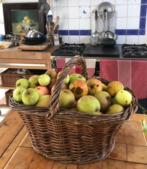 Récolte de pommes du verger - Jardin de Sous le Phare