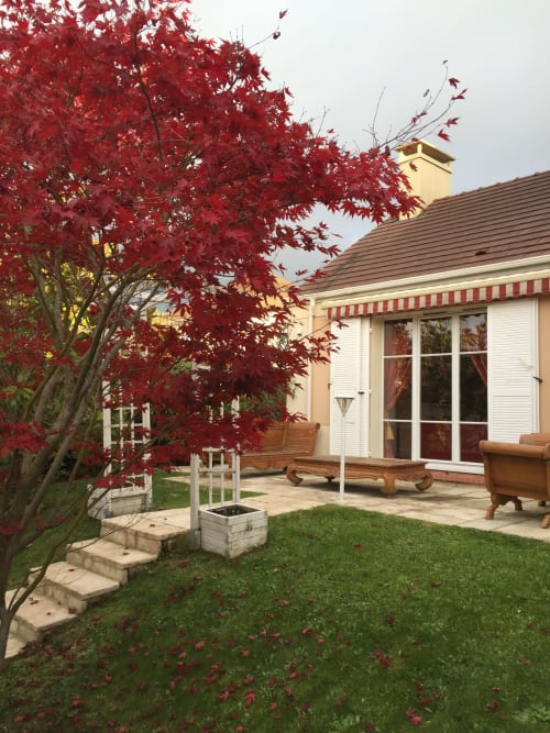 Villa Cendrillon - Seine et Marne - villa proche Disney - vacances à disney famille - villa jardin extérieur 