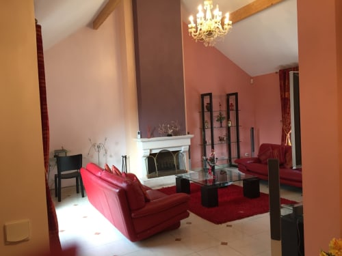 Villa Cendrillon - Seine et Marne - villa proche Disney - vacances à disney famille - villa jardin extérieur 