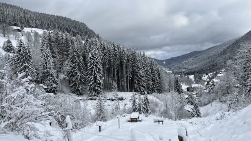 Paysage montagneux enneigé avec forêt de conifères entourant la Villa Valtin au Valtin, vue hivernale de la vallée en France