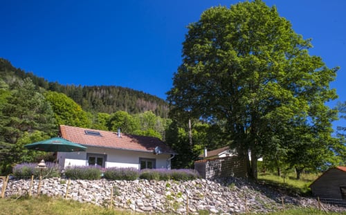 Gîte Villa Valtin au Valtin avec vue sur les montagnes, murs blancs, toit rouge et jardin de lavande entouré d'arbres