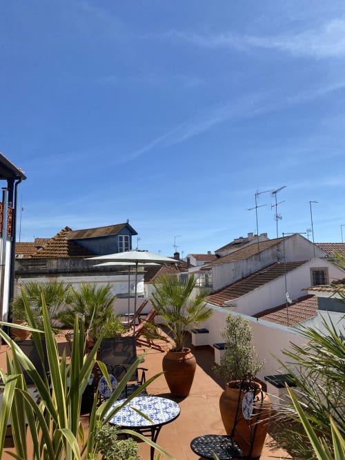 Rooftop terrace at Patio Da Villa guesthouse in Coruche with potted plants, blue-patterned seating, and city views