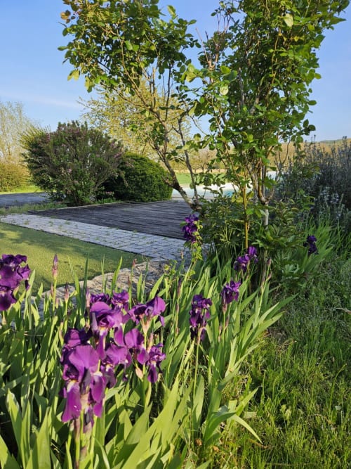 Domaine des Escouanes - Jardin fleuri d'Iris - Lot - vallée de la Dordogne