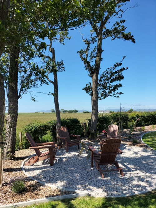 Adirondack chairs arranged under tall trees overlooking green fields at Ballymultimber Cottages in Limavady