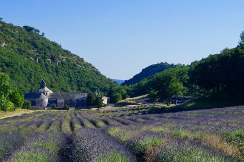 provence, sud de la france, champs de lavande, le cabanon 2.42, location en provence, herbergement insolite, mon cabanon en pierres