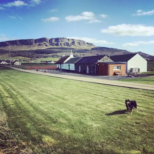 Ballymultimber Cottages barn with mountain views, green fields, and a dog in Limavady, Northern Ireland