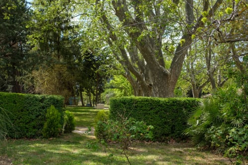  Jardin arboré à St Rémy de Provence