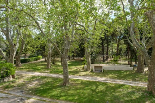  Jardin arboré au Mas9Romanin