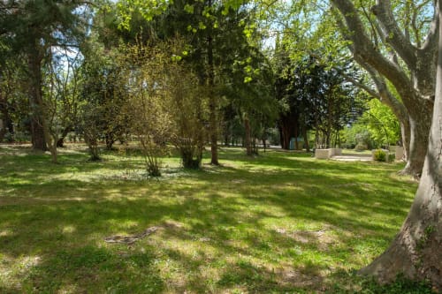 Parc  ombragées pour des siestes estivales