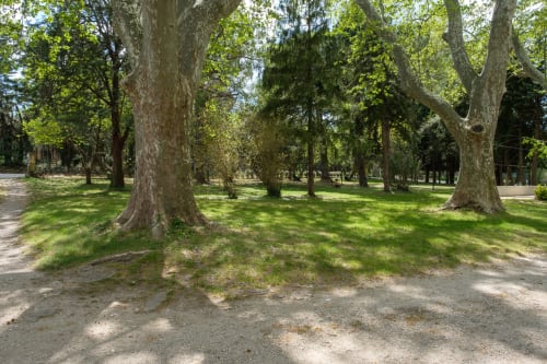 vue du parc du gite Papy