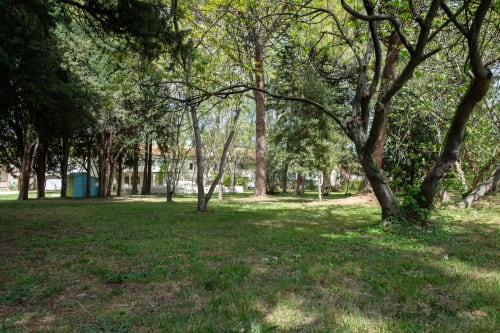 Parc de plus de 5000 m² avec cyprès, oliviers et herbes aromatiques.