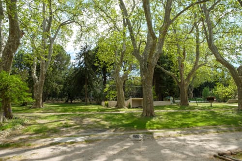 Platanes du Mas 9 Romanin