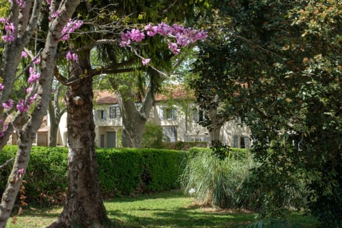 Vue sur le mas Provençal