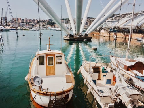 The Old Harbour