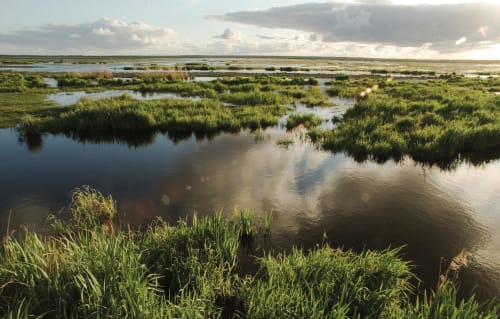 marais de Brière chalans balade