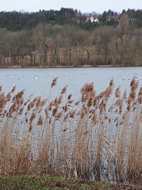 Lac à proximité de La Closerie, gîte de charme en Bourgogne