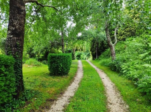 Turismo Rural O Vilar y los distintos tonos de verde de exuberante vegetación.