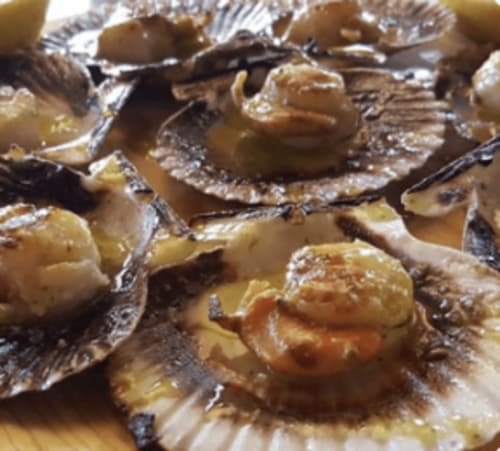 Las maravillas de la cocina gallega.
