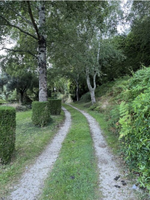 Entre los Álamos que dan acceso a la casa de Turismo Rural O Vilar