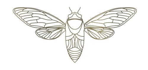 Dessin au trait détaillé d'un papillon aux ailes symétriques, illustration élégante d'insecte pour Boutique Hôtel Provencia à Marseille