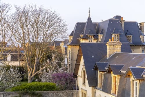 Manoir historique aux toits d'ardoise et architecture en pierre à Lion-sur-Mer, France, avec arbres dénudés et jardin de printemps
