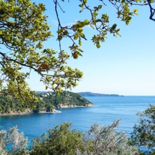 les-criques-de-cavalaire-sur-mer-et-ses-hotels-de-proximite-comme-le-golfe-bleu