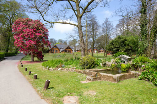 A view of Hanger Manor Holiday Park. Picture credit - Cornish Holiday.