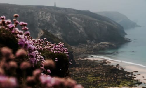 Cliff view and thrift.
