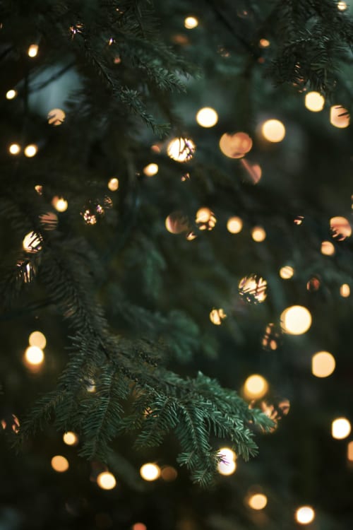 Sparkling Christmas lights on a tree.
