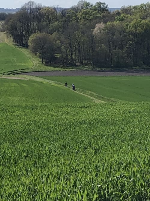 Deux randonneurs marchent dans les champs de céréales verts près du Logis des Tourelles, Cognac, France