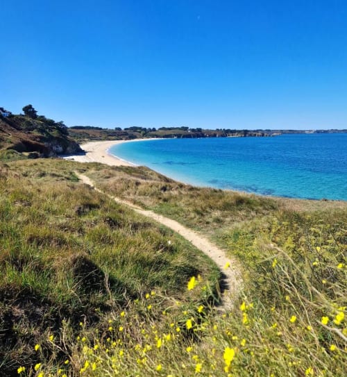 Sentier de randonnée menant à la belle plage des Grands Sables au Sud de Belle île en mer à 1 km des locations des maisons de Kerdavid ile