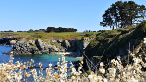 Sentier côtier en fleur au printemps à Belle ile en mer - les maisons de Kerdavid île