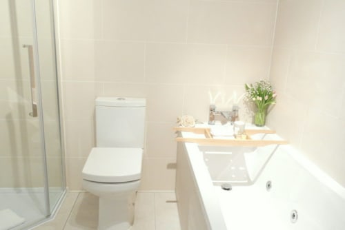 snug ensuite bathroom 