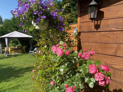 Jardin - Chambres d’hôtes Ô Clair de Lune 