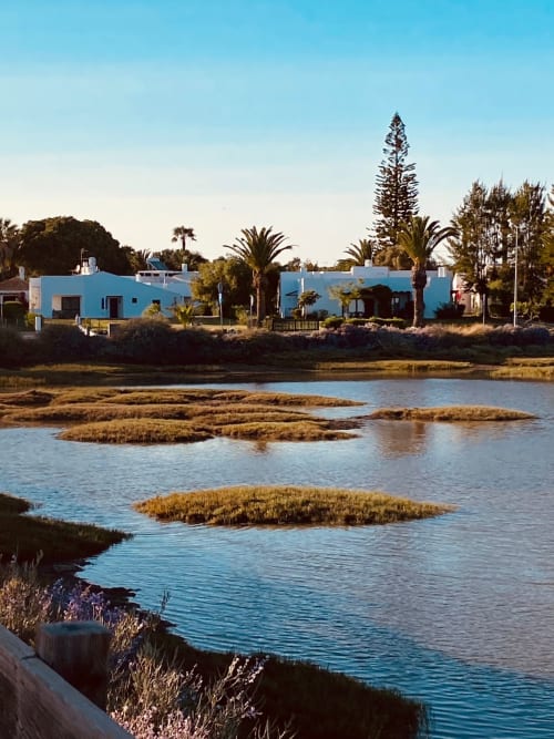 Bâtiments bleu vif au bord de l'eau avec palmiers dominant les marais salants de Santa Luzia, Portugal