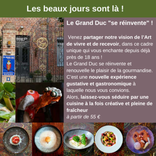 Le Grand Duc's reinvented dining experience in Valenciennes featuring gourmet cuisine and artfully plated dishes