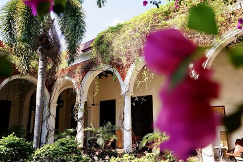 A floral paradise at Villa Merida Boutique Hotel. The photo unveils our enchanting patio area, blanketed in a sea of pink flowers and lush greenery, creating a picturesque and serene retreat for our guests