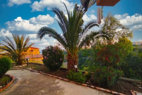 vacanza, sicilia, holiday, sicily, flower, fiori, villa, agrigento