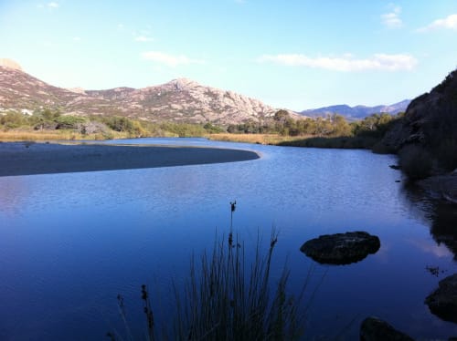 Etang derrière la plage de l'Ostriconi
