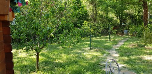 L'allée vers la cabane