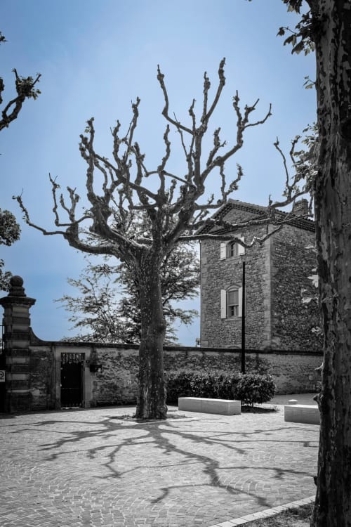 Courtyard at Le Pavillon M in Grignan with bare twisted tree and stone architecture