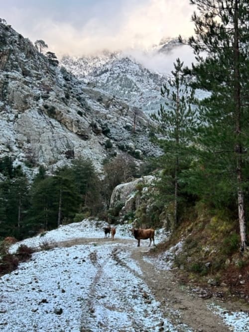 Au pied du Monte Grosso