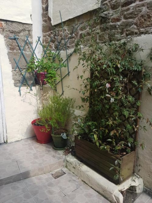 Cour fleurie de La Conciergerie de Nathalie à Dinan avec plantes en pots et lierre sur murs de pierre