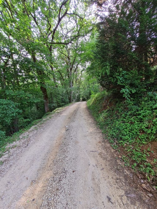 Chemin d’accès privé menant aux gîtes du Domaine du Cardou à Puy-l’Évêque