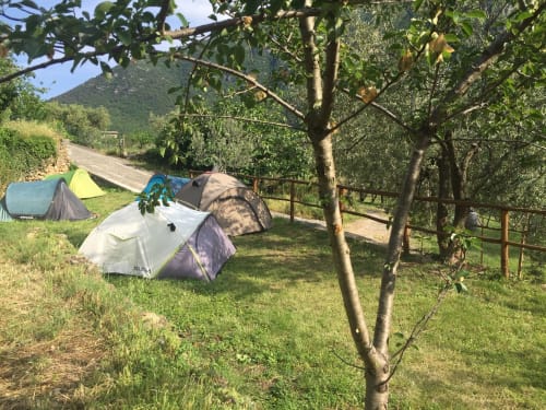 La Casa dei Nonni | Agricampeggio a Castelbianco (SV) | Camere & Appartamenti