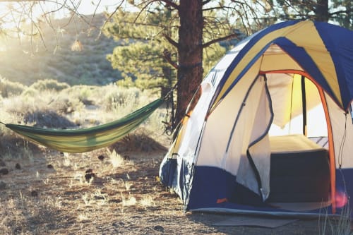 Tente de camping avec hamac dans une forêt de pins au Camping La Lézardière, La Valette du Var
